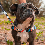 Superfly OG No-Pull Training Harness