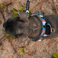 Superfly OG No-Pull Training Harness