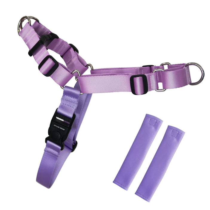 Sorbet RNT No-Pull Training Harness - Sorbet