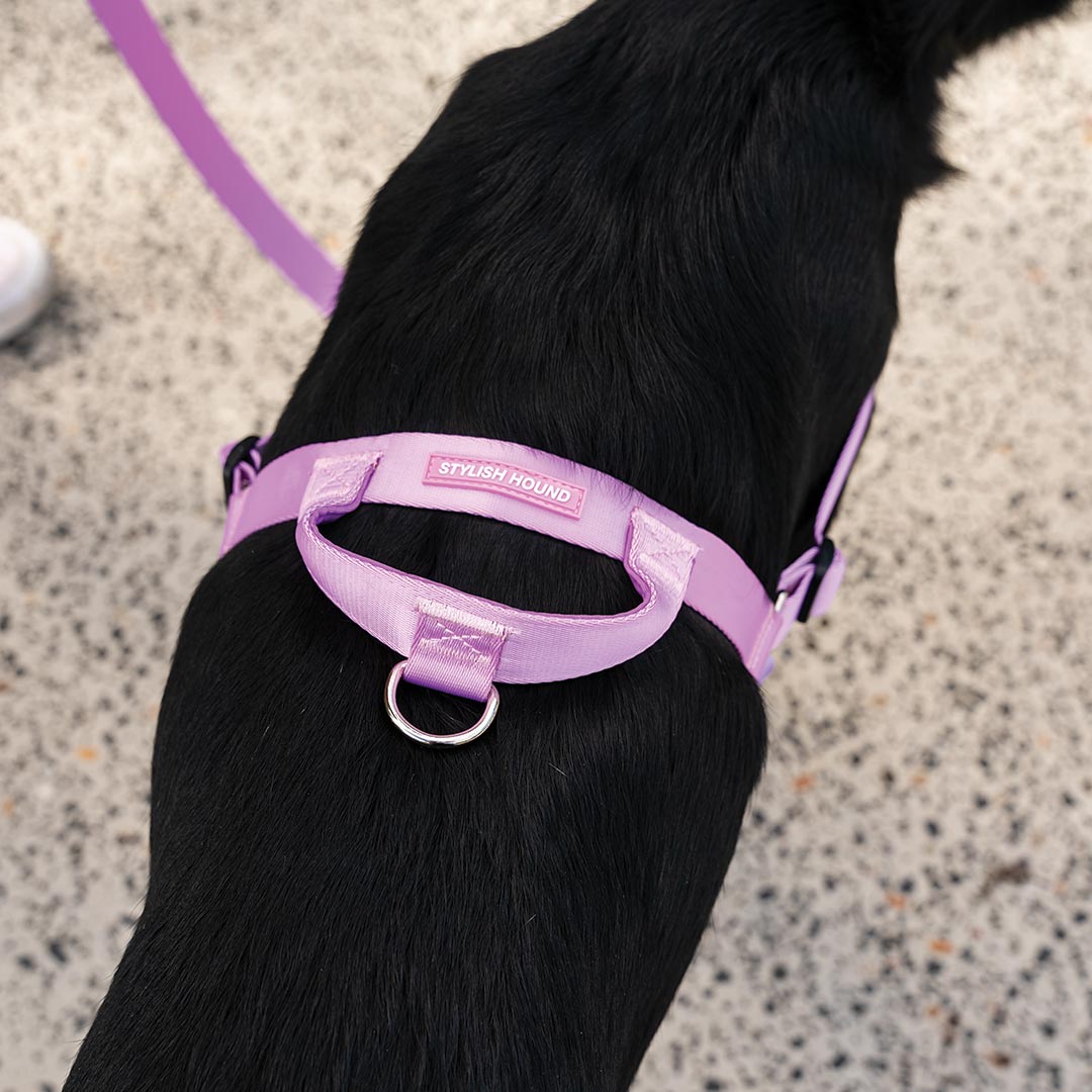 Sorbet OG No-Pull Training Harness - Sorbet