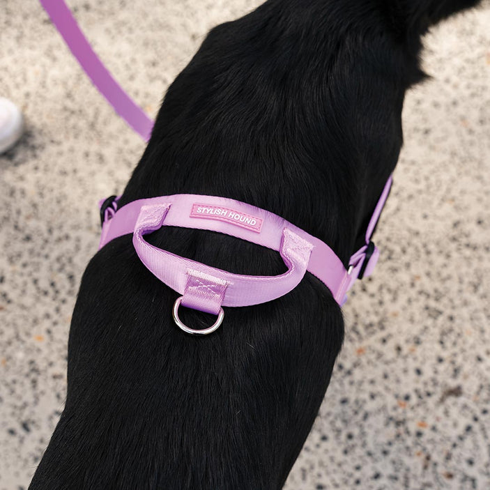 Sorbet OG No-Pull Training Harness