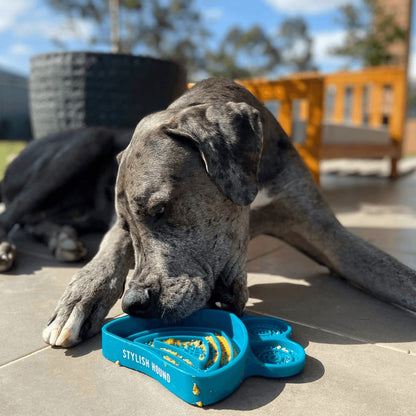 2in1 Lick Bowl Slow Feeder