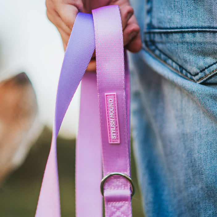 Sorbet Leash