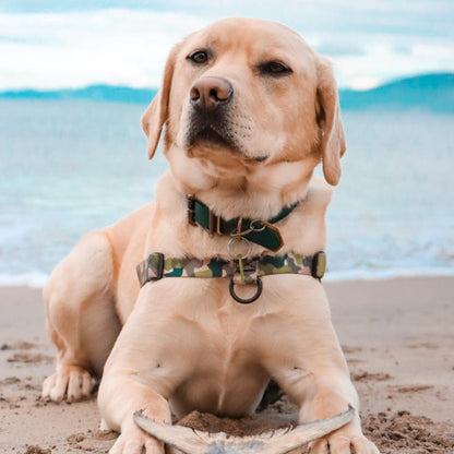 On Duty OG No-Pull Training Harness - On Duty